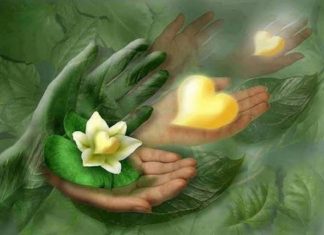 Développez et prenez Position